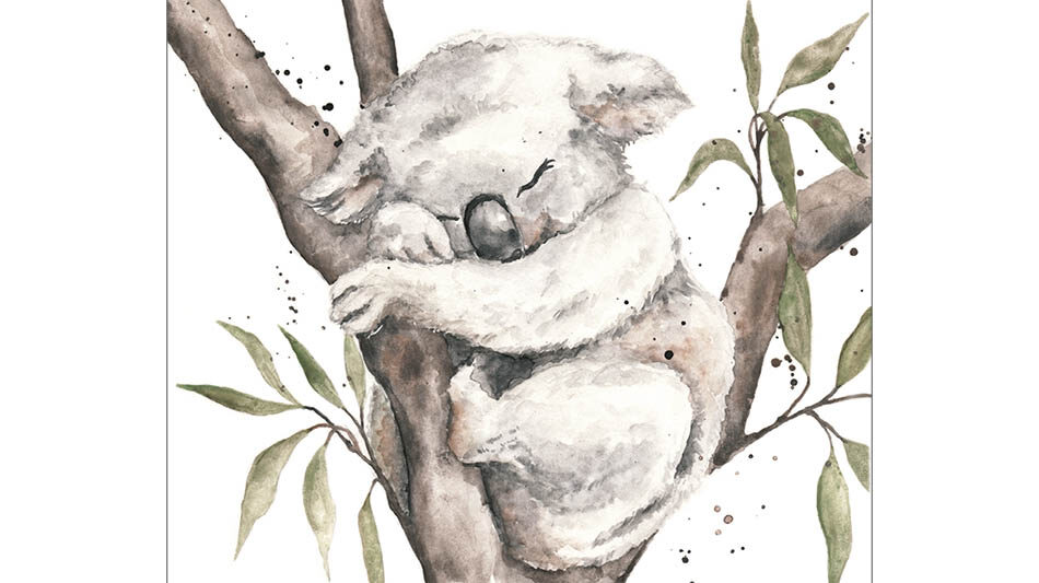 postikortti-koala