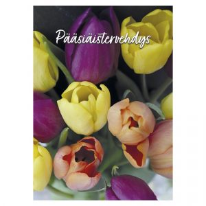 paasiaskortti