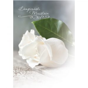 suruadressi-valkoinen-ruusu