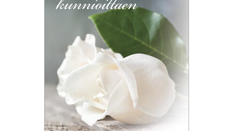 surukortti-valkoinen-ruusu