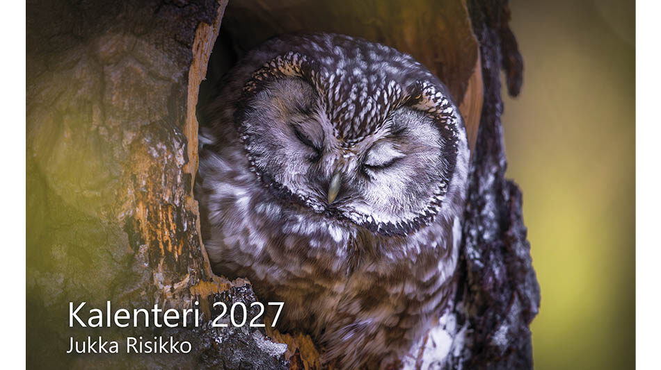 kalenteri-2027-jukka-risikko