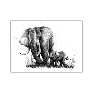 elefantti-juliste-kortti