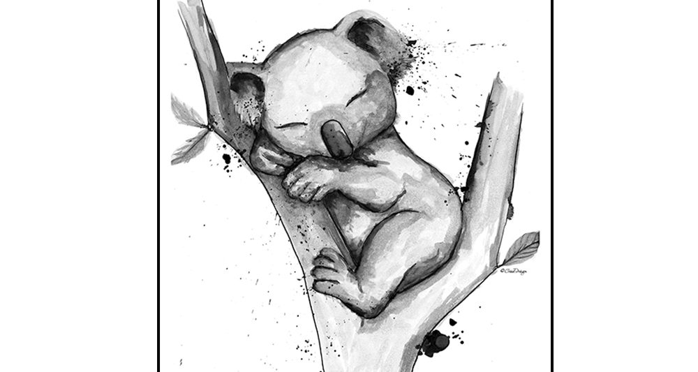 koala-nukkuu-juliste