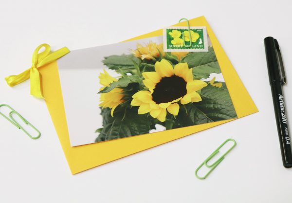 Kukka-kortti-postikortti-auringonkukka